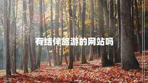有結(jié)伴旅游的網(wǎng)站嗎