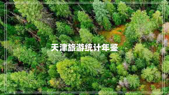 天津旅游統(tǒng)計(jì)年鑒