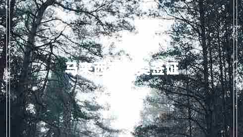 馬來(lái)西亞各類(lèi)簽證