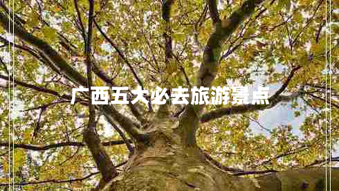 廣西五大必去旅游景點(diǎn)