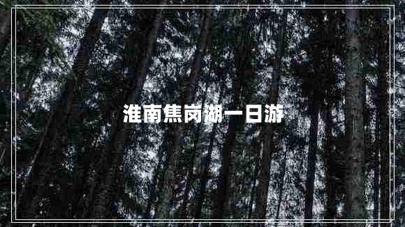 淮南焦崗湖一日游