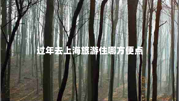過年去上海旅游住哪方便點(diǎn) 過年去上海旅游住哪方便點(diǎn)