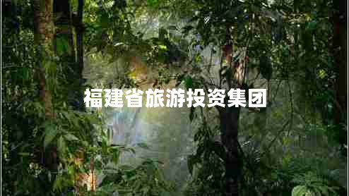 福建省旅游投資集團
