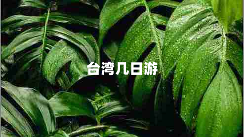 臺(tái)灣幾日游