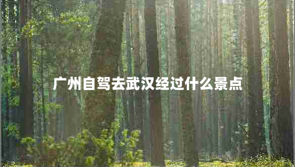 廣州自駕去武漢經(jīng)過什么景點