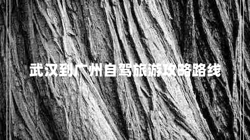 武漢到廣州自駕旅游攻略路線