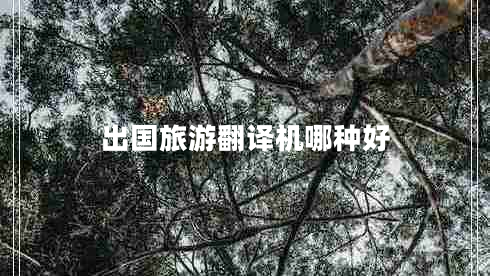 出國旅游翻譯機(jī)哪種好