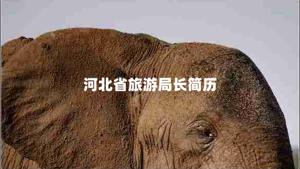 河北省旅游局長簡歷