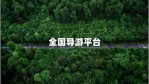 全國導游平臺 全國導游平臺
