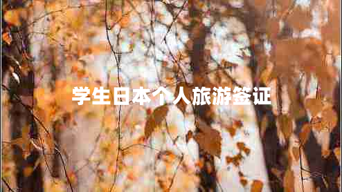 學(xué)生日本個(gè)人旅游簽證
