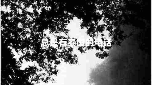 總是有泰國(guó)的電話