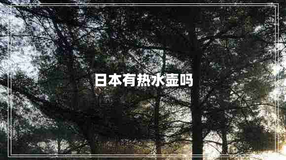 日本有熱水壺嗎