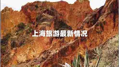上海旅游最新情況