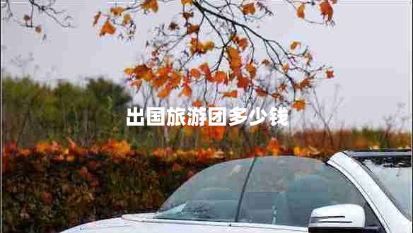 出國(guó)旅游團(tuán)多少錢