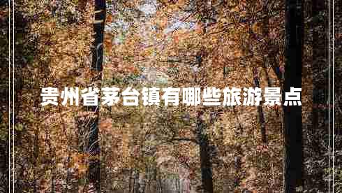 貴州省茅臺(tái)鎮(zhèn)有哪些旅游景點(diǎn)