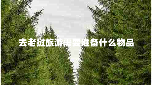 去老撾旅游需要準(zhǔn)備什么物品