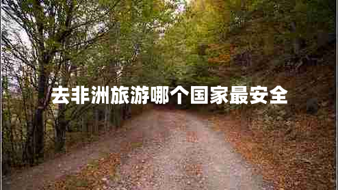 去非洲旅游哪個(gè)國(guó)家最安全