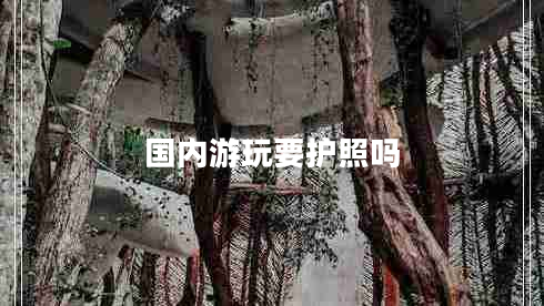 國內(nèi)游玩要護(hù)照嗎