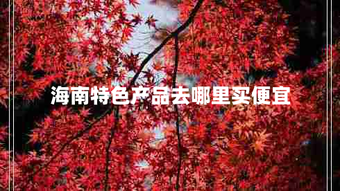 海南特色產(chǎn)品去哪里買便宜 海南特色產(chǎn)品去哪里買便宜