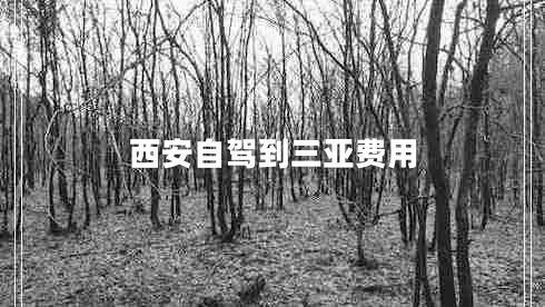 西安自駕到三亞費(fèi)用