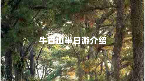 牛首山半日游介紹