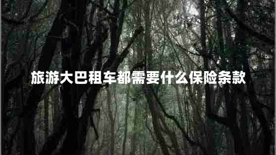 旅游大巴租車都需要什么保險(xiǎn)條款