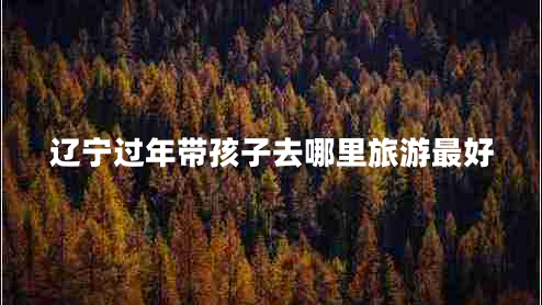 遼寧過年帶孩子去哪里旅游最好 遼寧過年帶孩子去哪里旅游最好