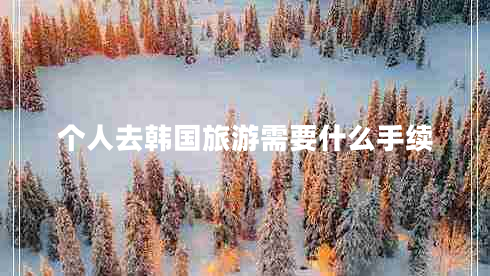 個(gè)人去韓國(guó)旅游需要什么手續(xù)