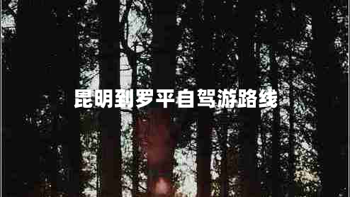 昆明到羅平自駕游路線