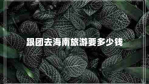 跟團去海南旅游要多少錢