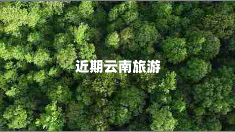 近期云南旅游
