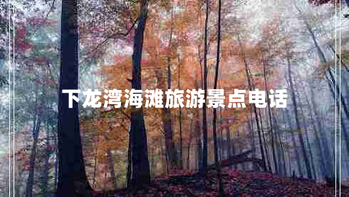 下龍灣海灘旅游景點電話