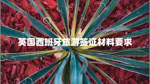 英國西班牙旅游簽證材料要求 英國西班牙旅游簽證材料要求