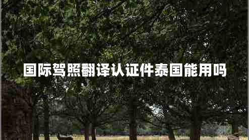 國(guó)際駕照翻譯認(rèn)證件泰國(guó)能用嗎 國(guó)際駕照翻譯認(rèn)證件泰國(guó)能用嗎
