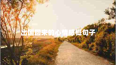 出國回來的心情感慨句子