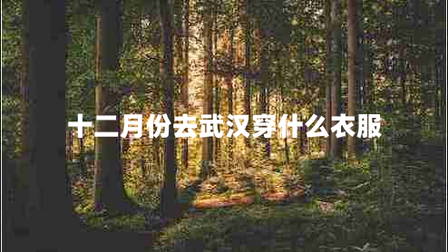 十二月份去武漢穿什么衣服