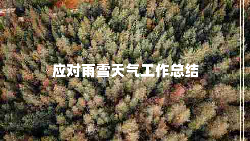 應(yīng)對雨雪天氣工作總結(jié)