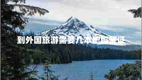 到外國旅游需要幾本護照簽證