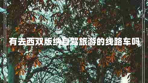 有去西雙版納自駕旅游的線路車嗎