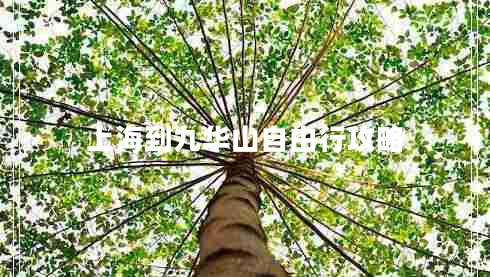 上海到九華山自由行攻略