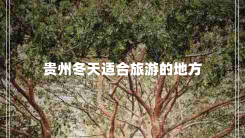 貴州冬天適合旅游的地方