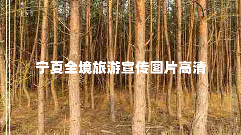 寧夏全境旅游宣傳圖片高清 寧夏全境旅游宣傳圖片高清