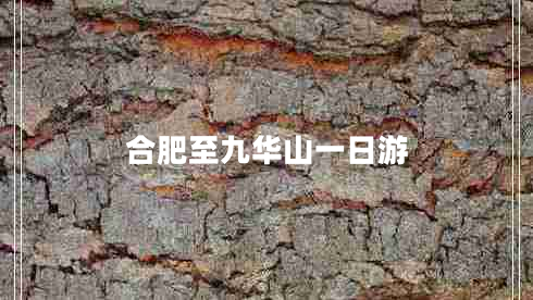 合肥至九華山一日游 合肥至九華山一日游