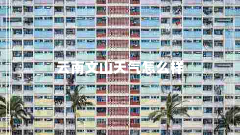 云南文山天氣怎么樣