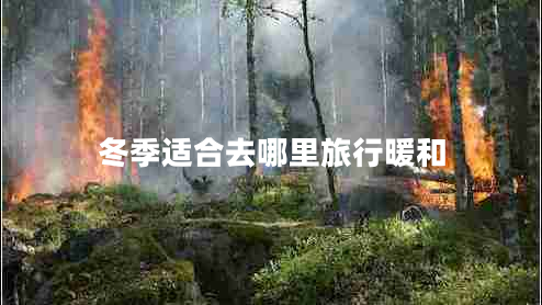 冬季適合去哪里旅行暖和