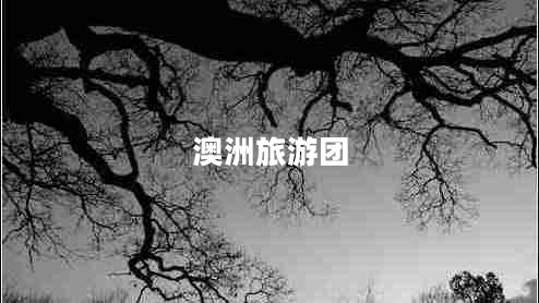 澳洲旅游團(tuán)