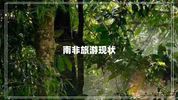 南非旅游現(xiàn)狀