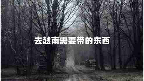 去越南需要帶的東西 去越南需要帶的東西