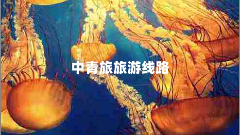 中青旅旅游線路