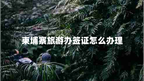 柬埔寨旅游辦簽證怎么辦理